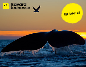 À la rencontre des baleines et des dauphins au Pays basque