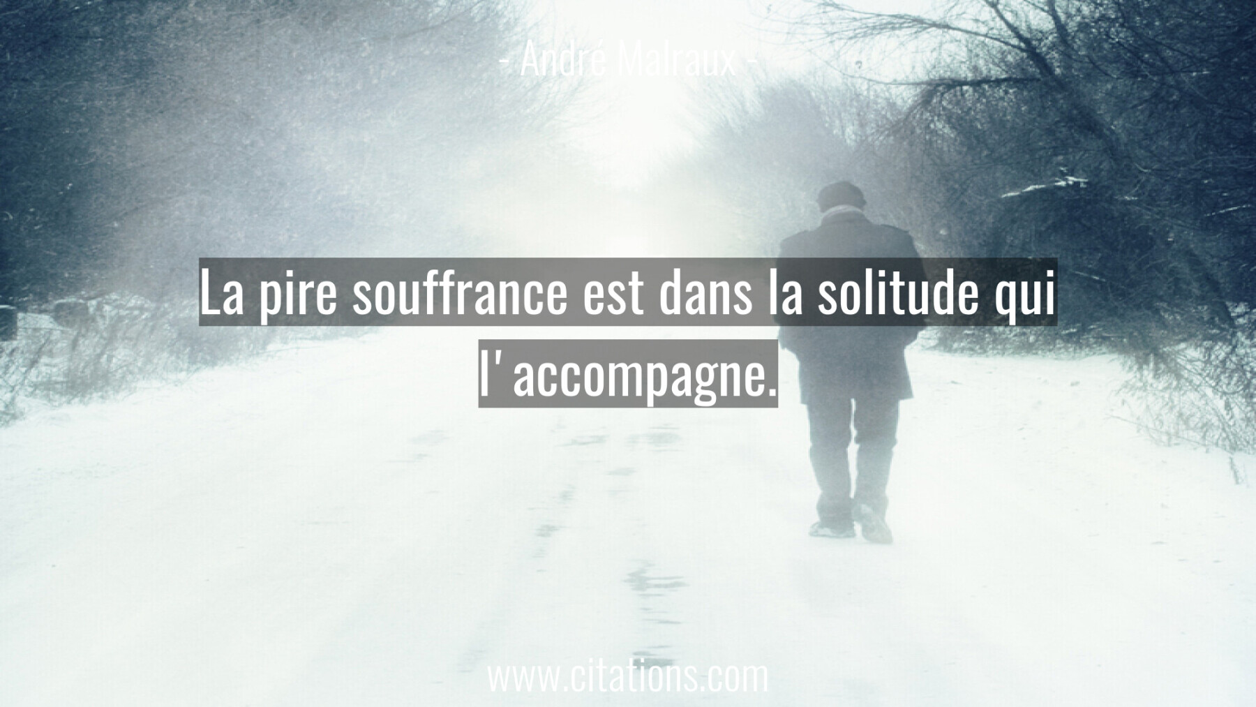 La Pire Souffrance Est Dans La Solitude Qui L Accompagne