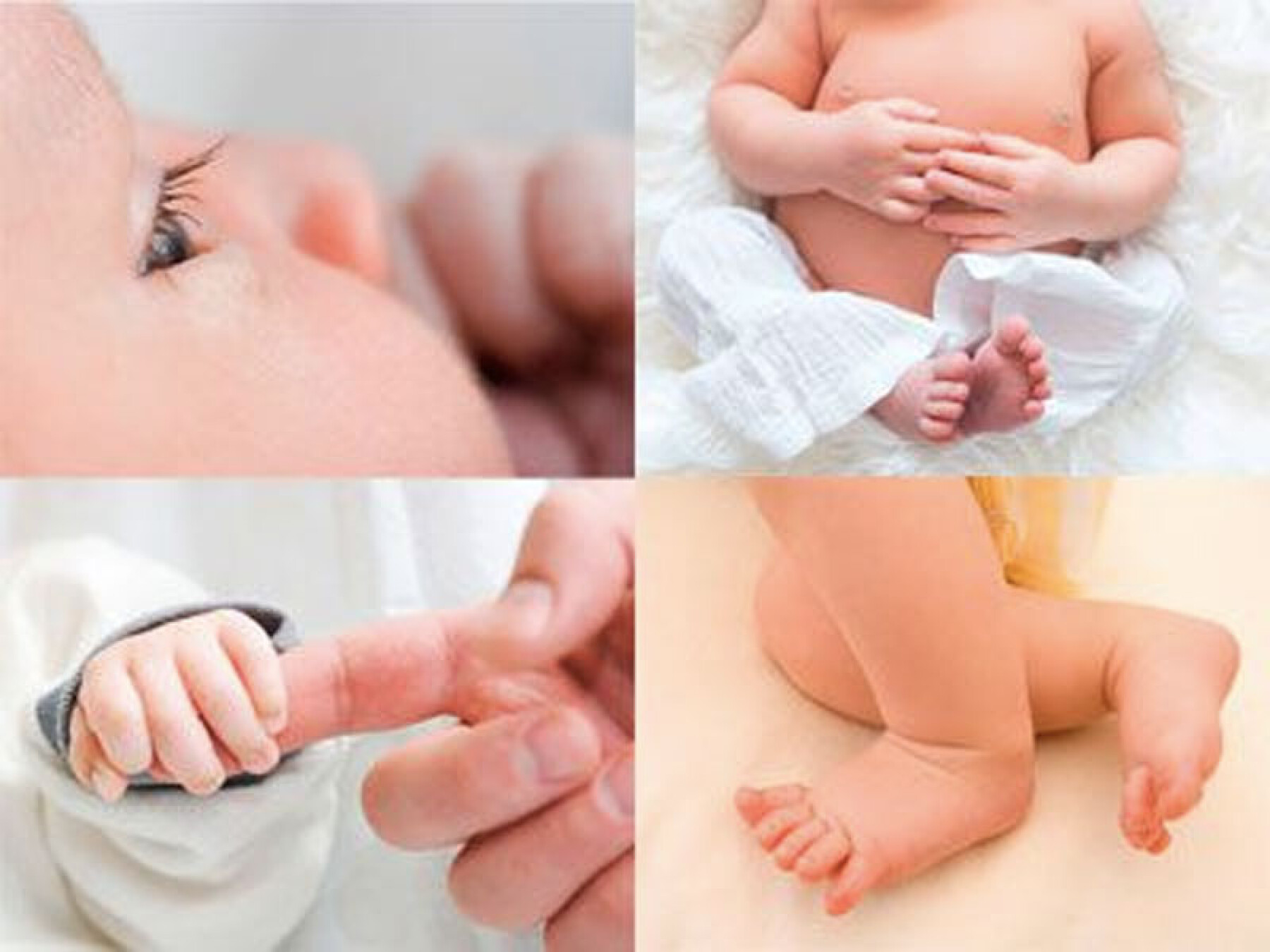Bébés : des petits bouts très attachants