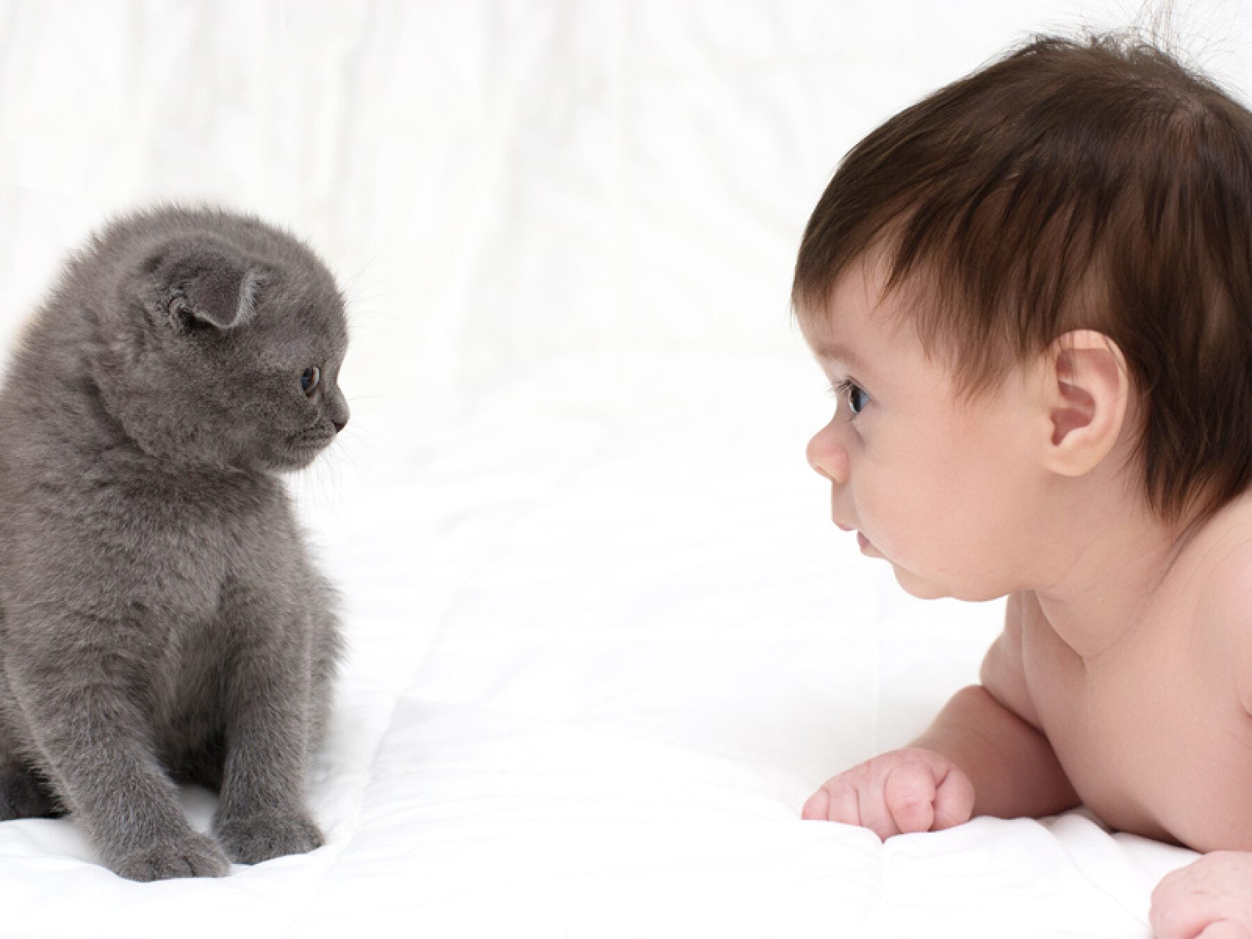 Bébé et animal… si c'est pas de l'amour