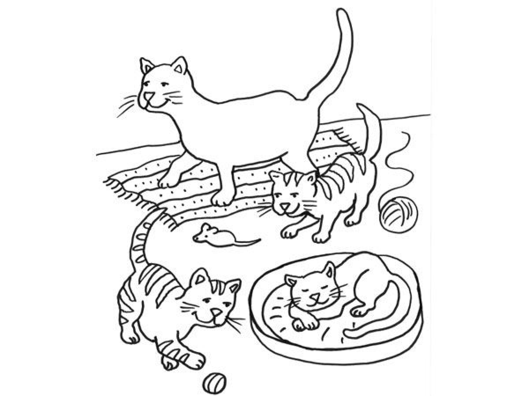 Coloriage La Famille De Chats