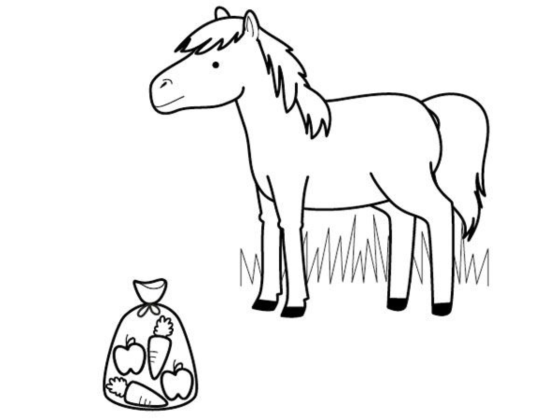 Coloriage Le Cheval