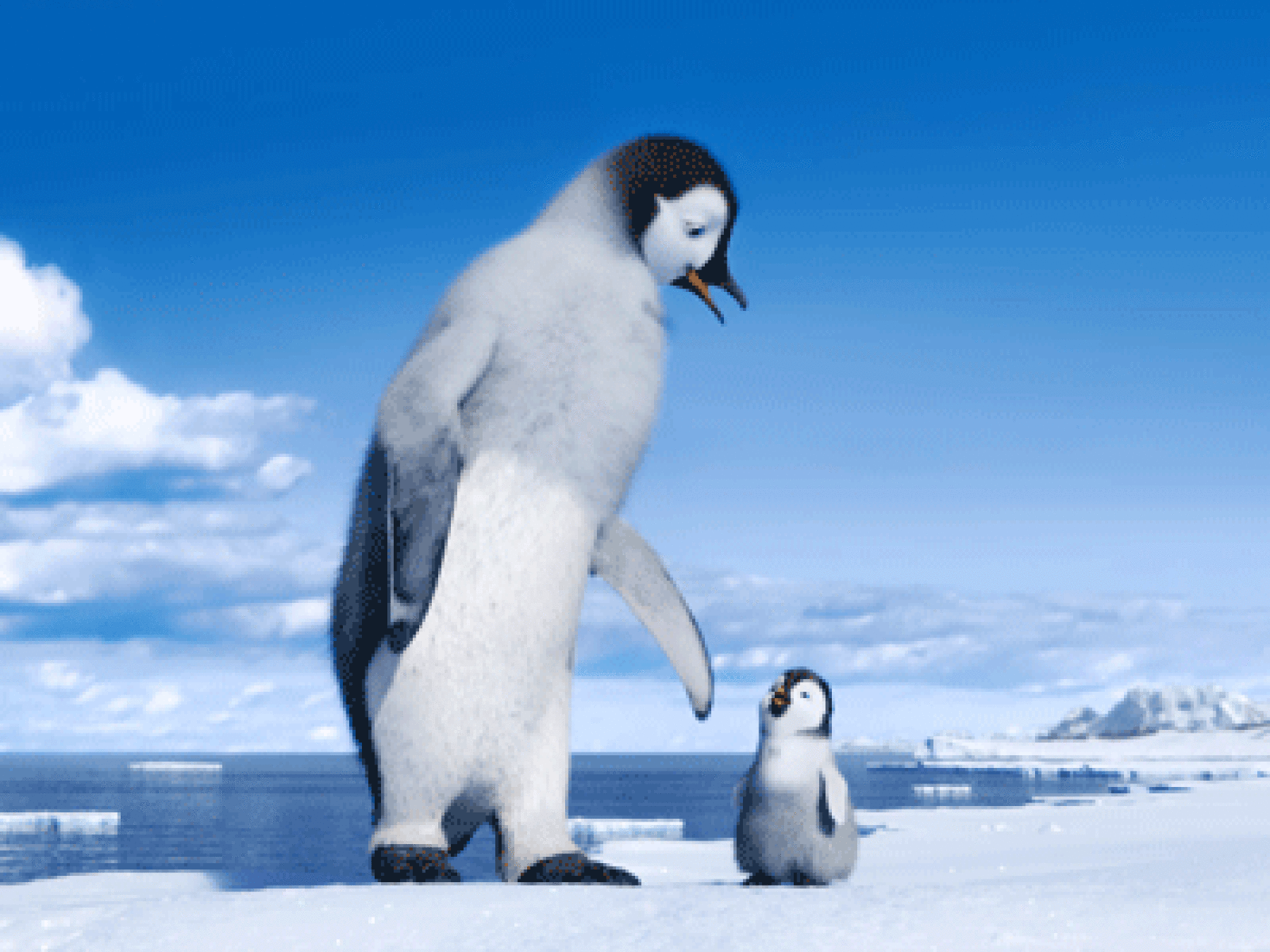 Happy Feet 2 Et Gros Point Et Petit Point