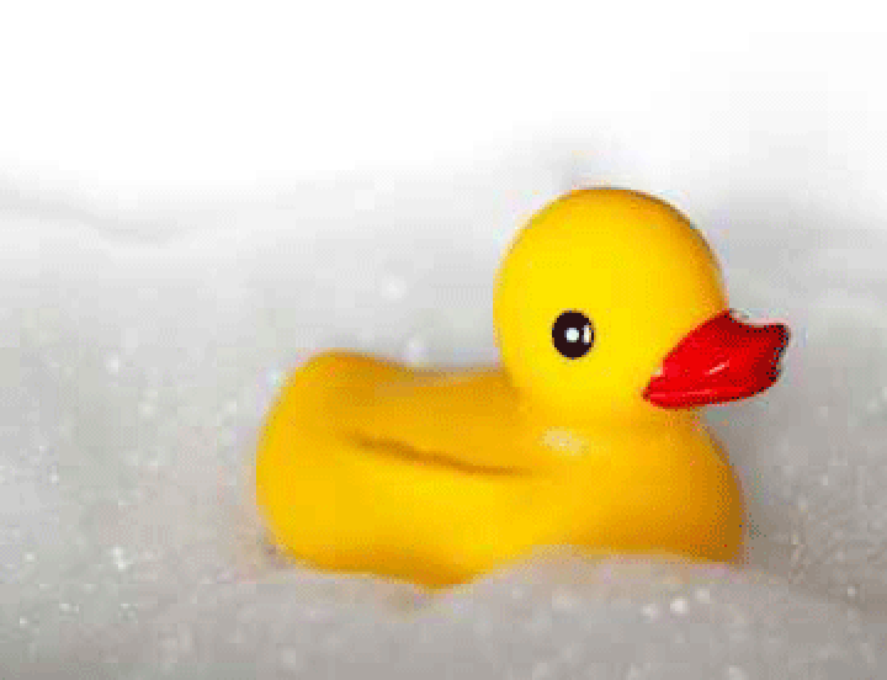Non Pas Le Bain