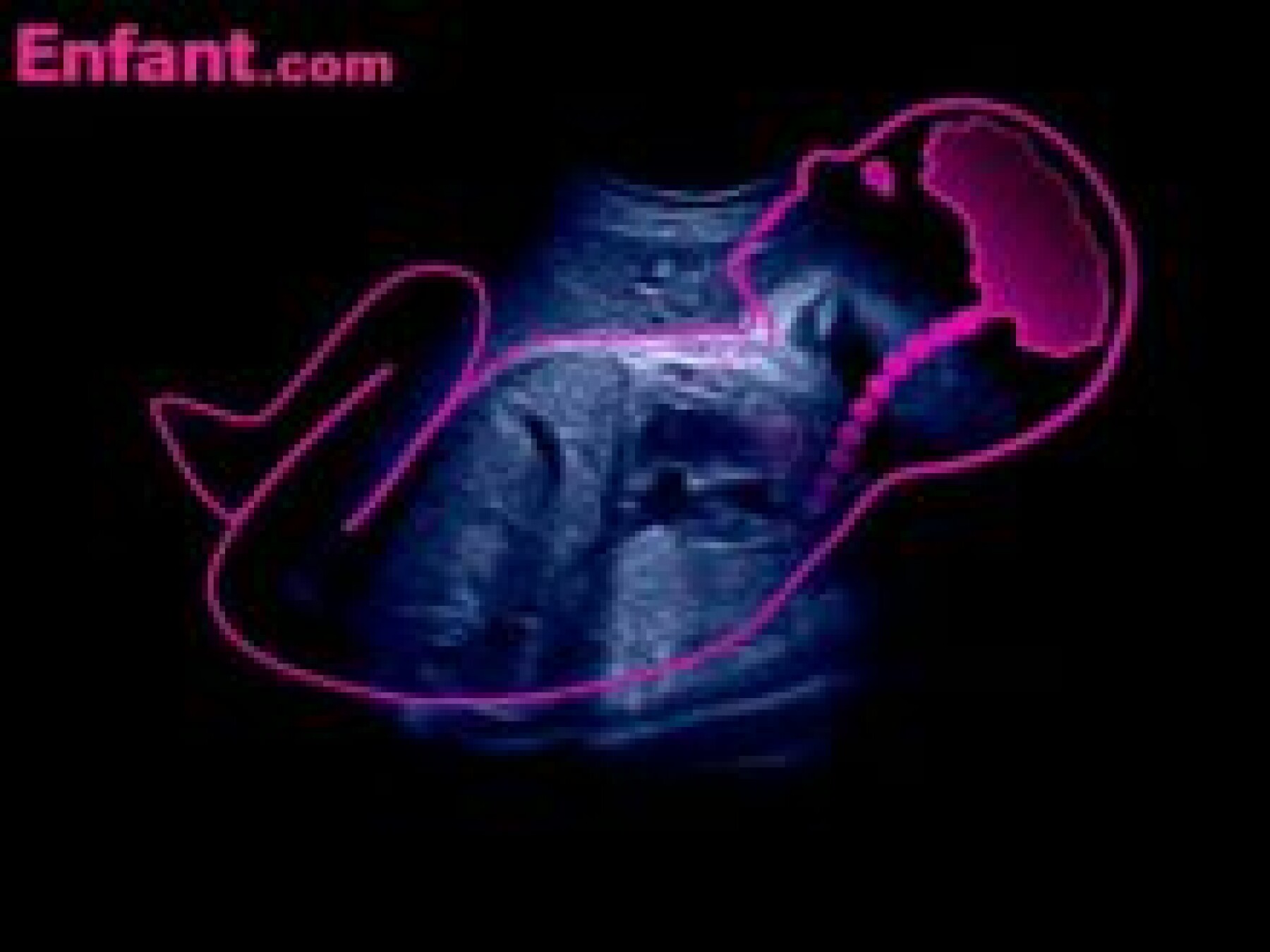 9e mois in utero