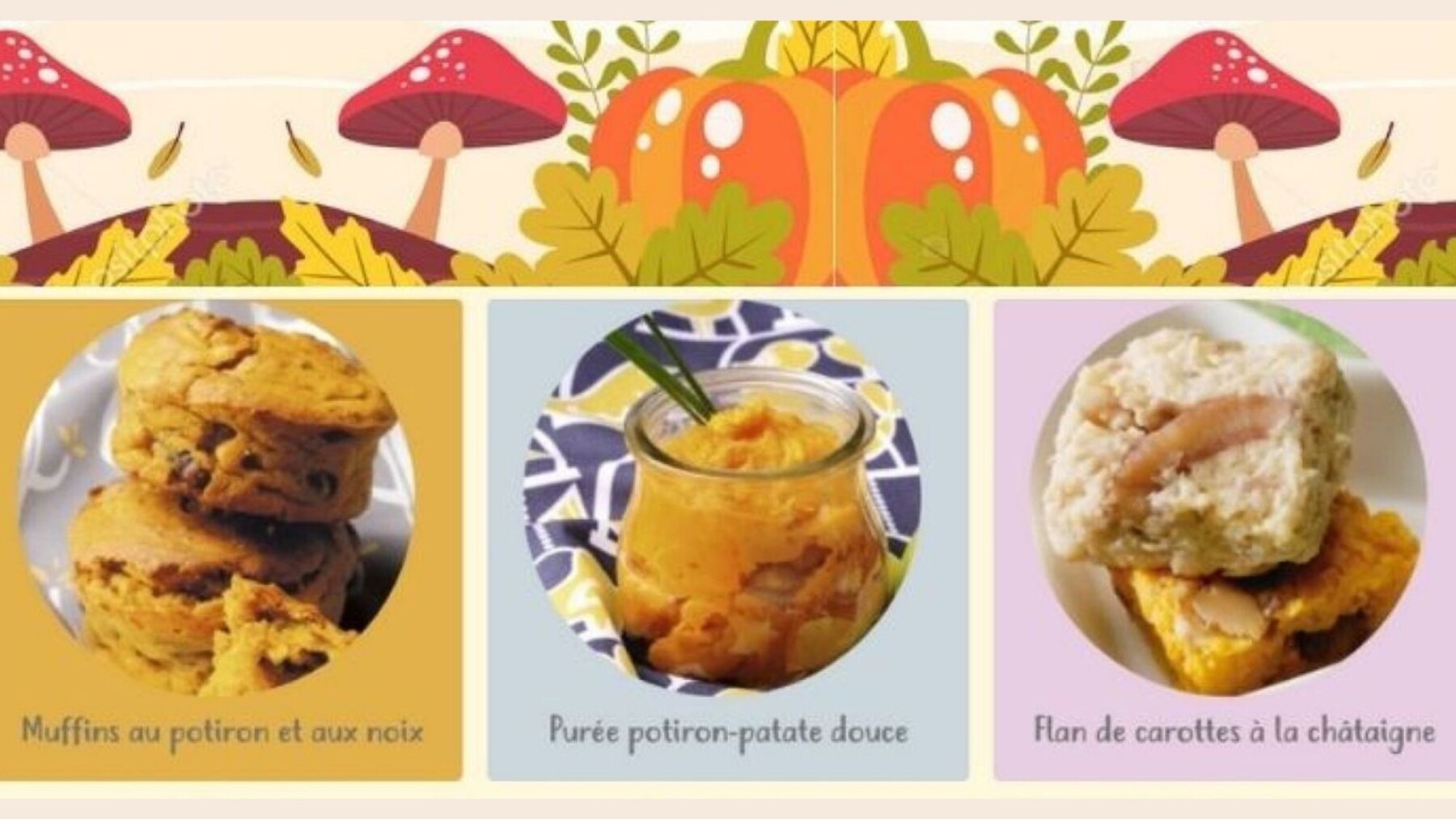 15 Recettes D Automne Pour Bebe