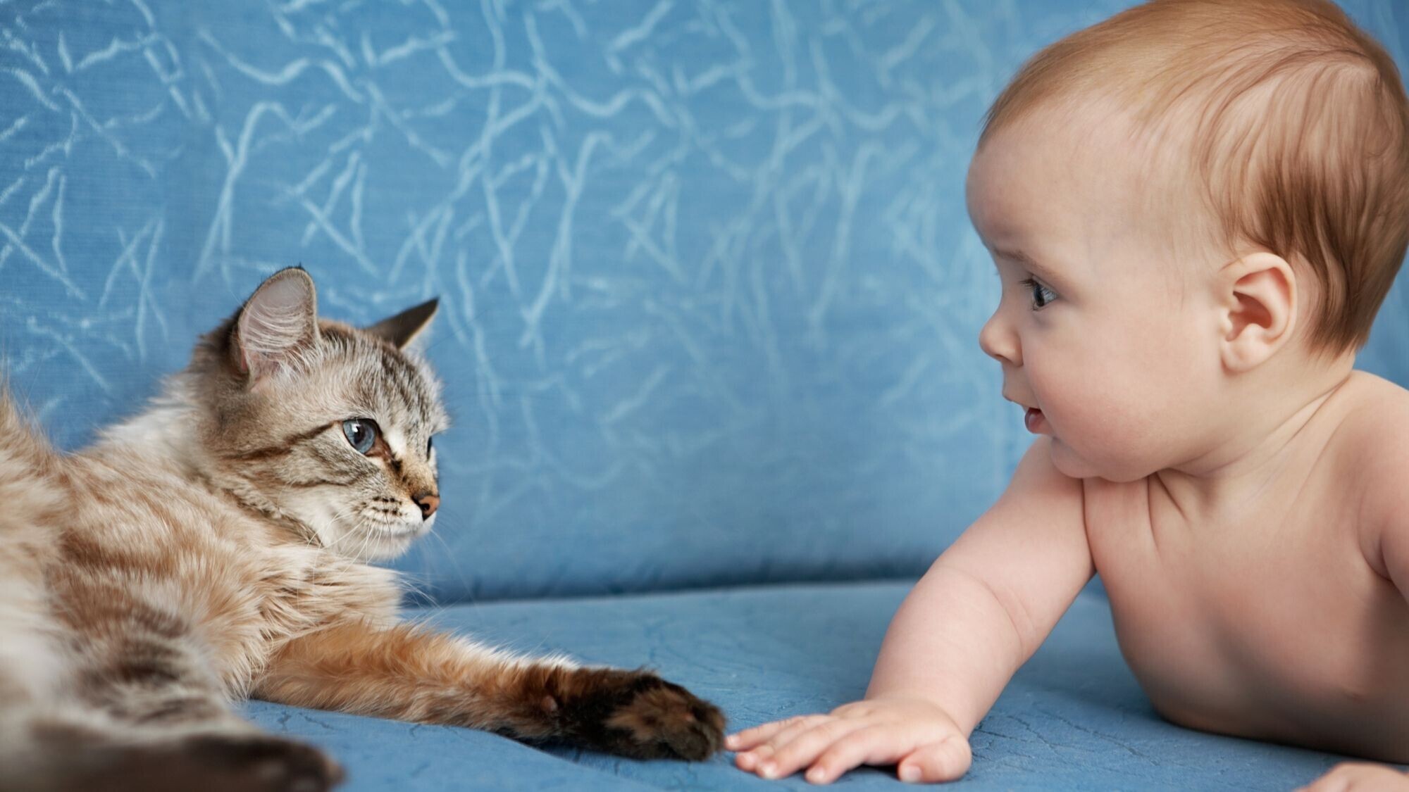 Bébé et animal: les bonnes attitudes
