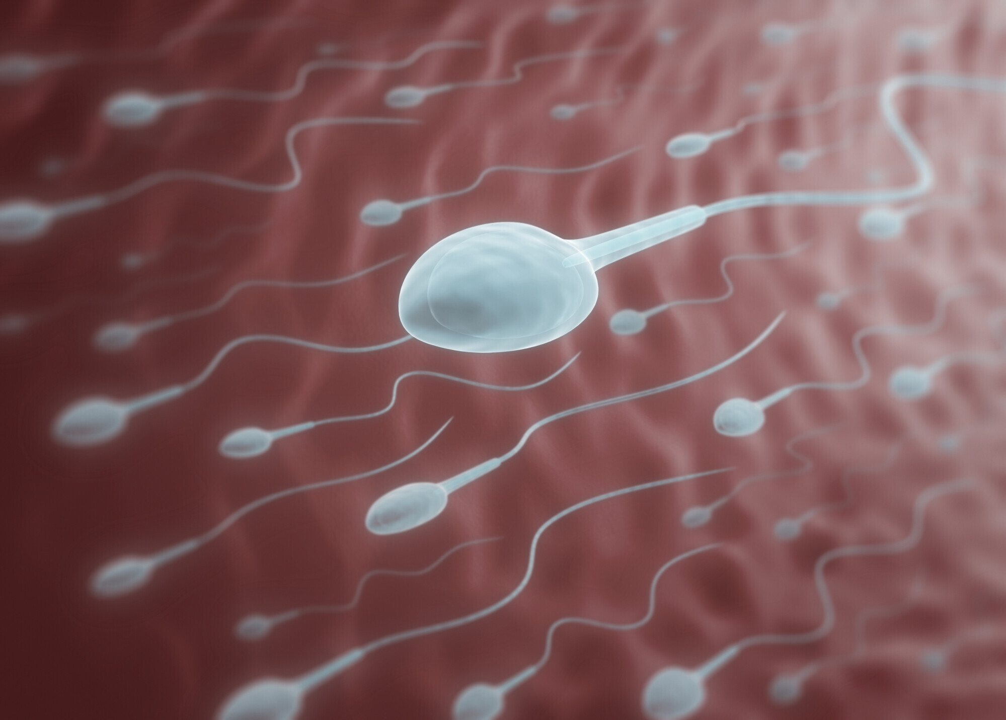 Testez vos connaissances sur le sperme