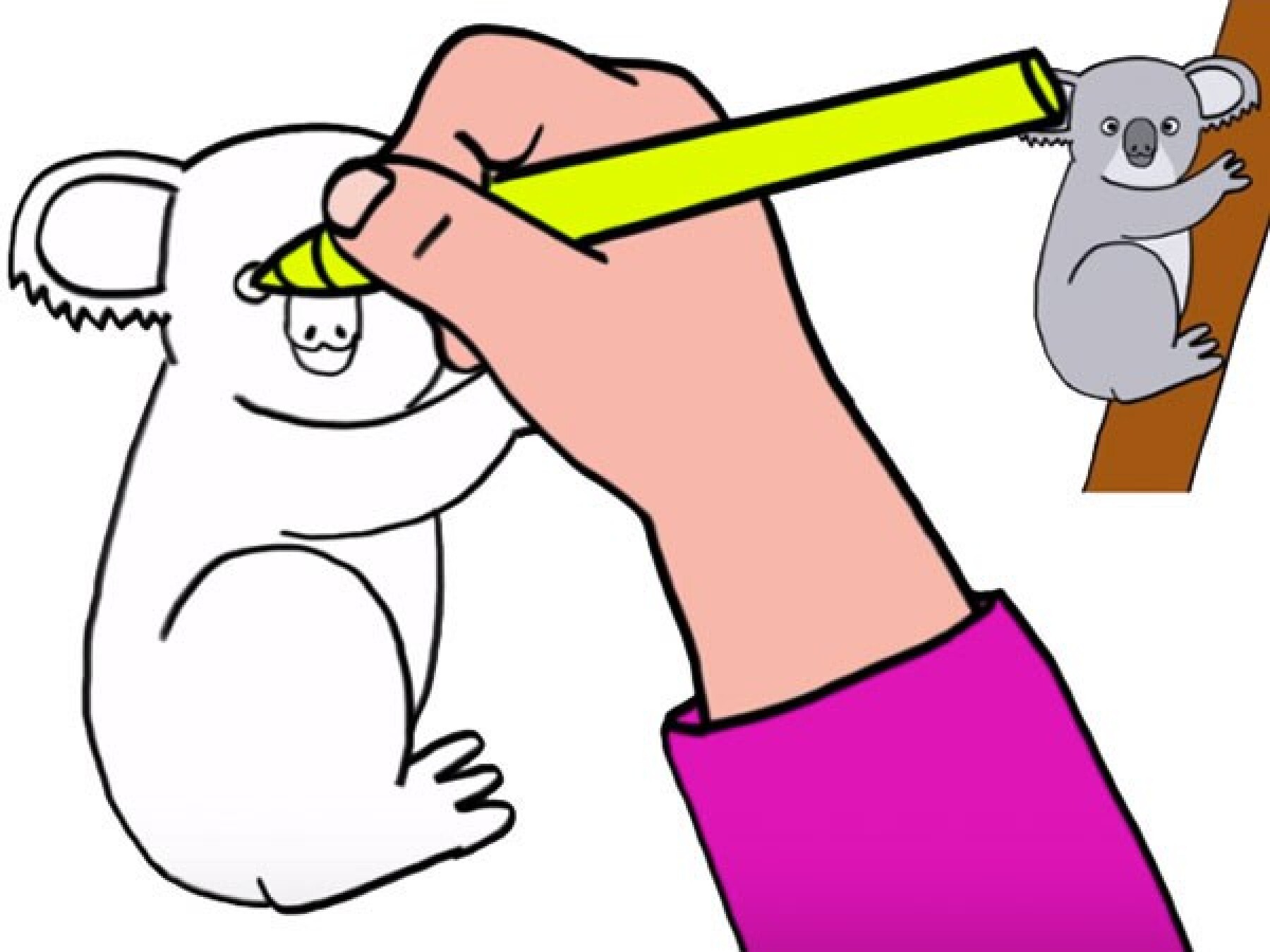 Comment Dessiner Un Koala