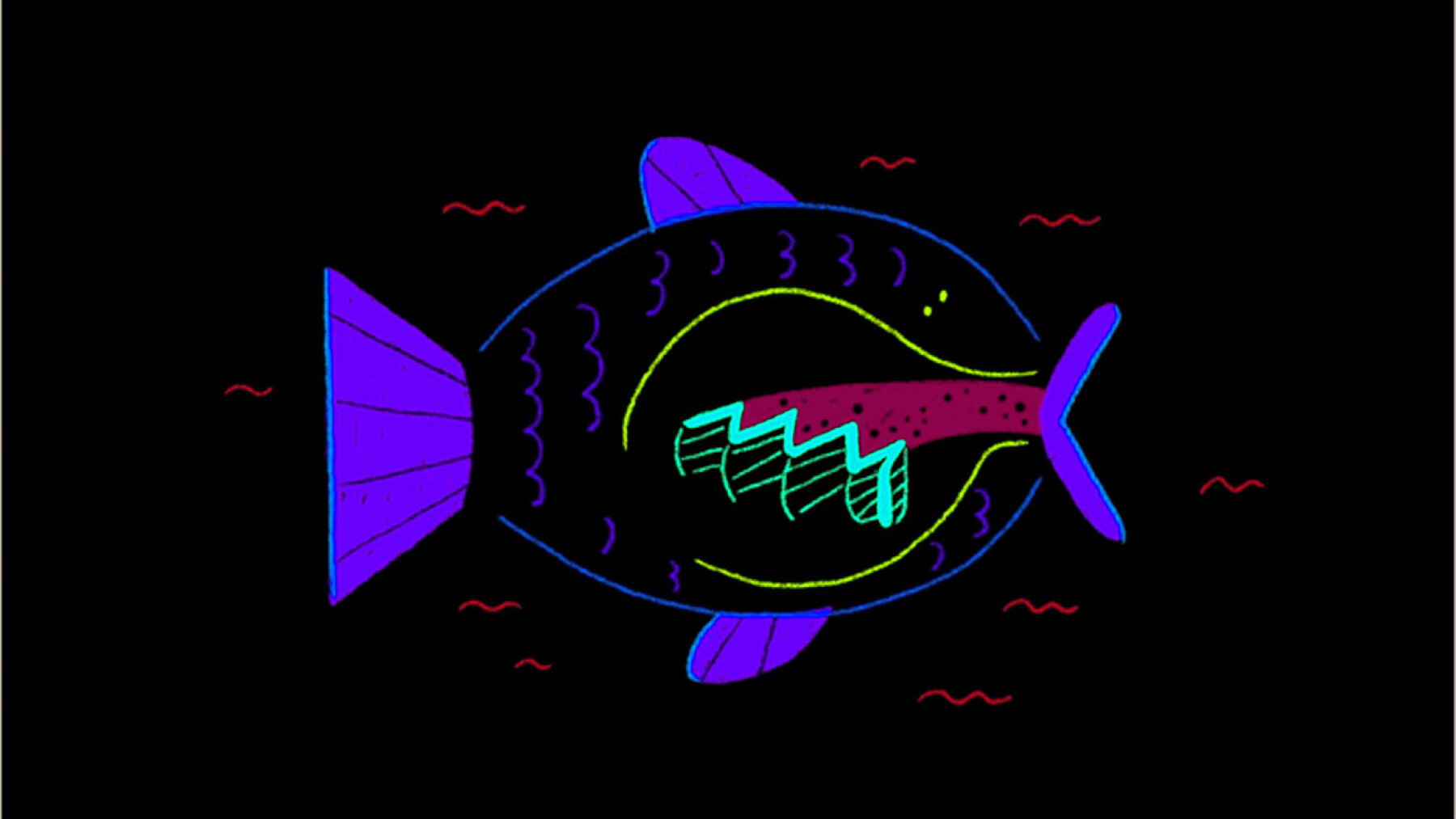 Comment les poissons respirent sous l'eau ?