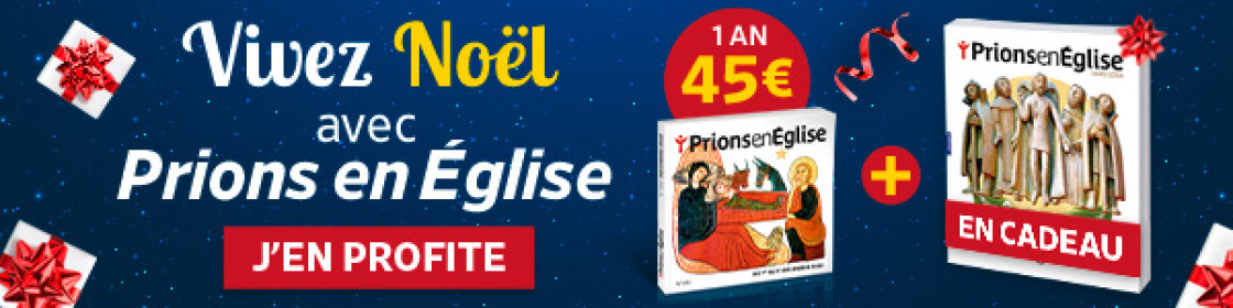 Prions Offre Noel Prions non abo