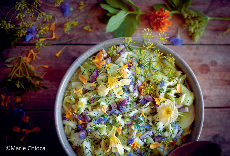 Préparation: 10 min
Repos: 30 min Pour 4 personnes