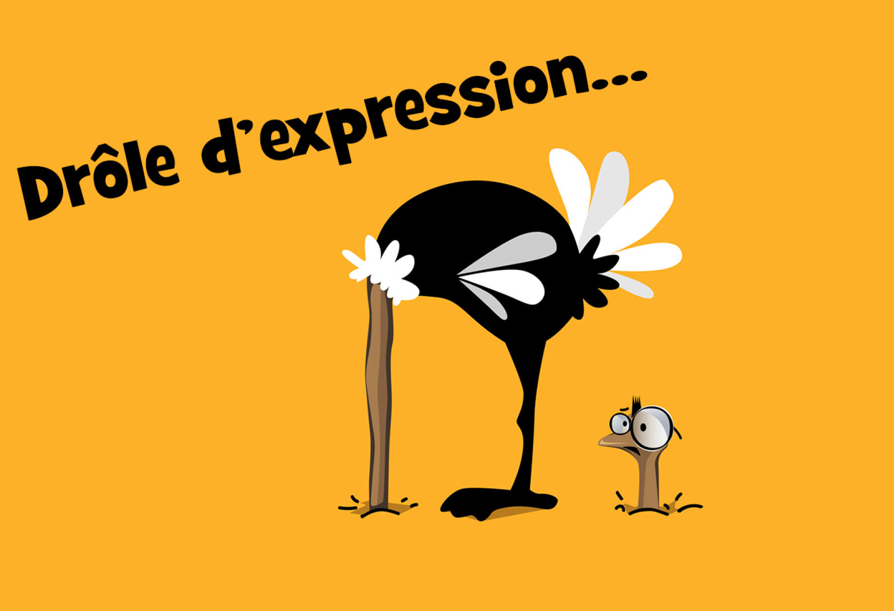 Drole D Expression Faire L Autruche