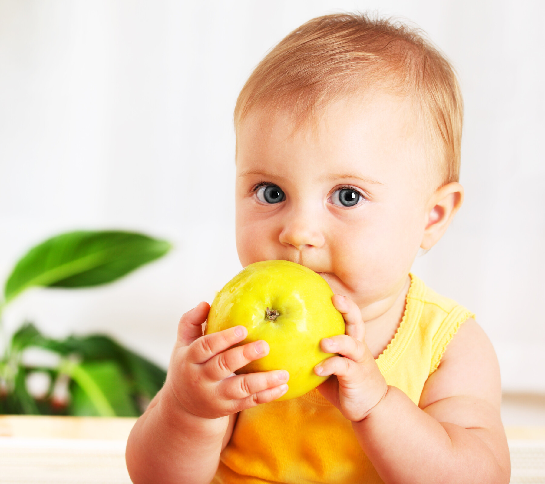 L Alimentation De Bebe De 7 Mois A 8 Mois L Alimentation De Bebe De 7 Mois A 8 Mois
