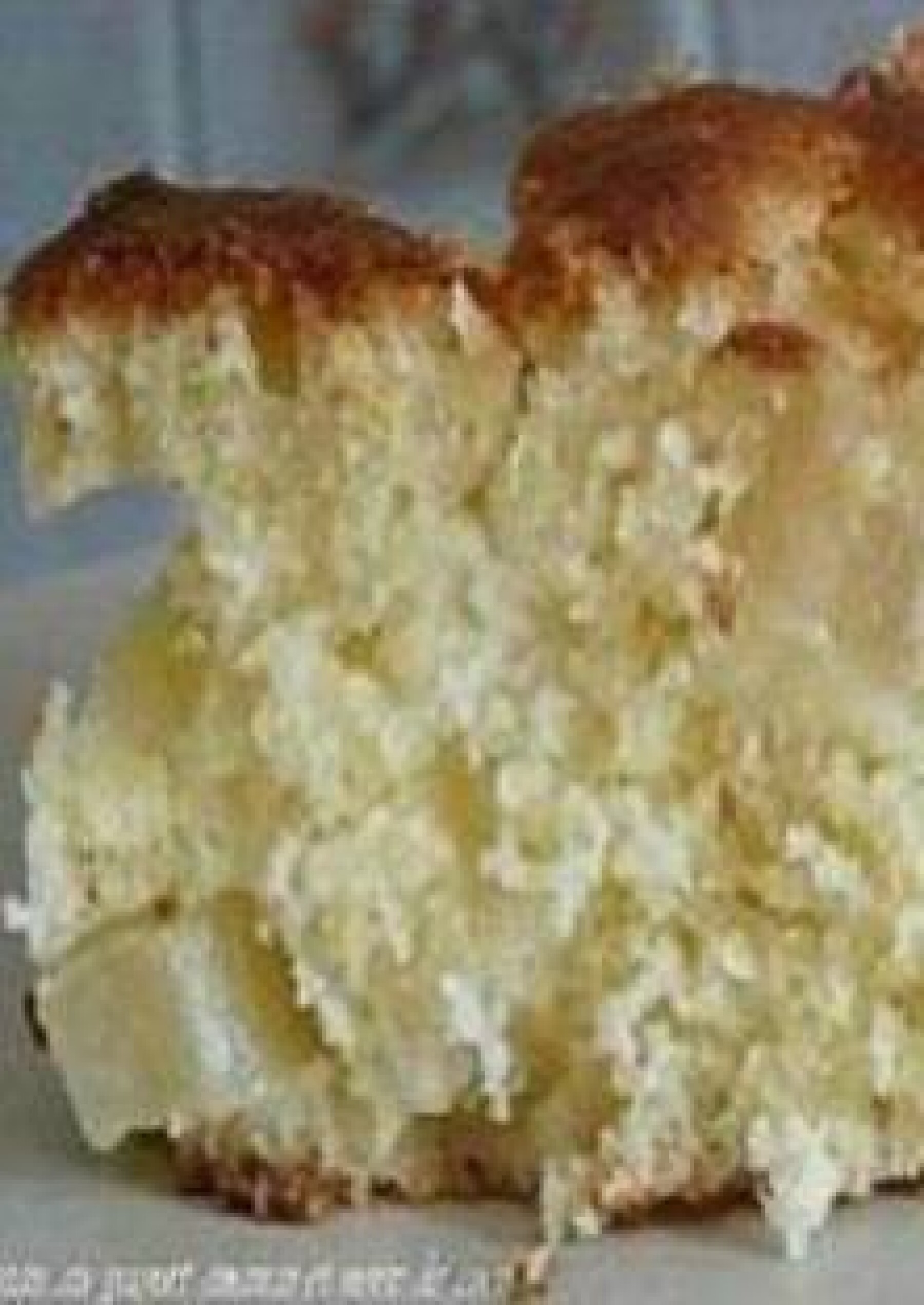 Gateau Au Yaourt Ananas Et Noix De Coco