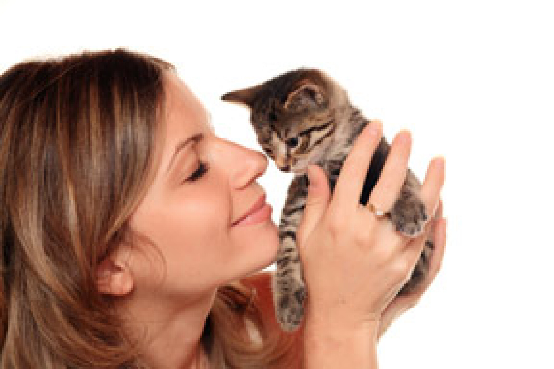 Quels Soins Et Quels Vaccins Pour Mon Chaton