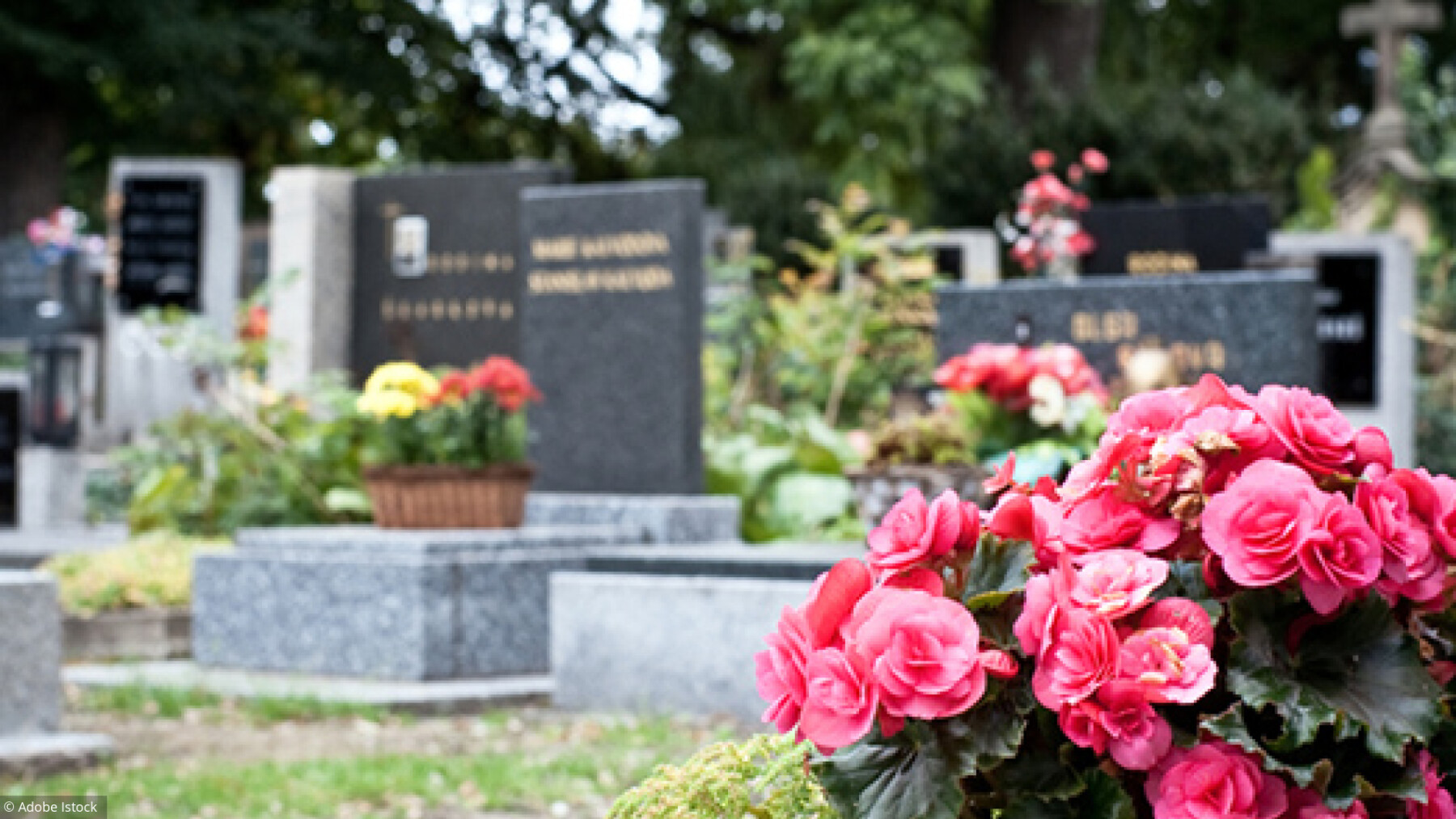 Obseques La Cremation Plutot Qu Un Enterrement