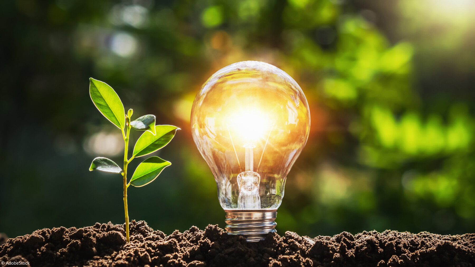 Electricite Verte Comment Choisir La Meilleure Offre