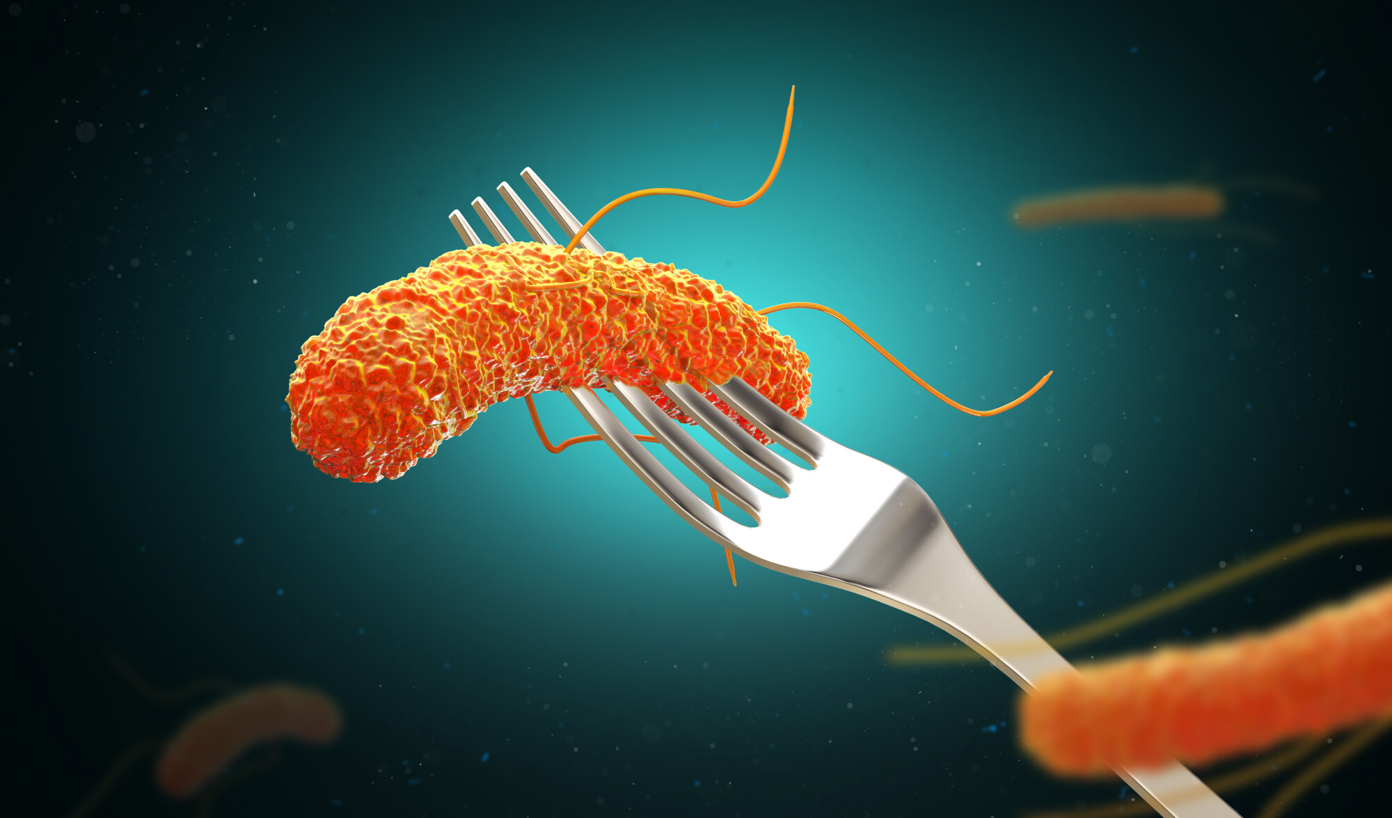 Salmonelles, Escherichia coli, listeria... Ces bactéries qui envahissent nos aliments