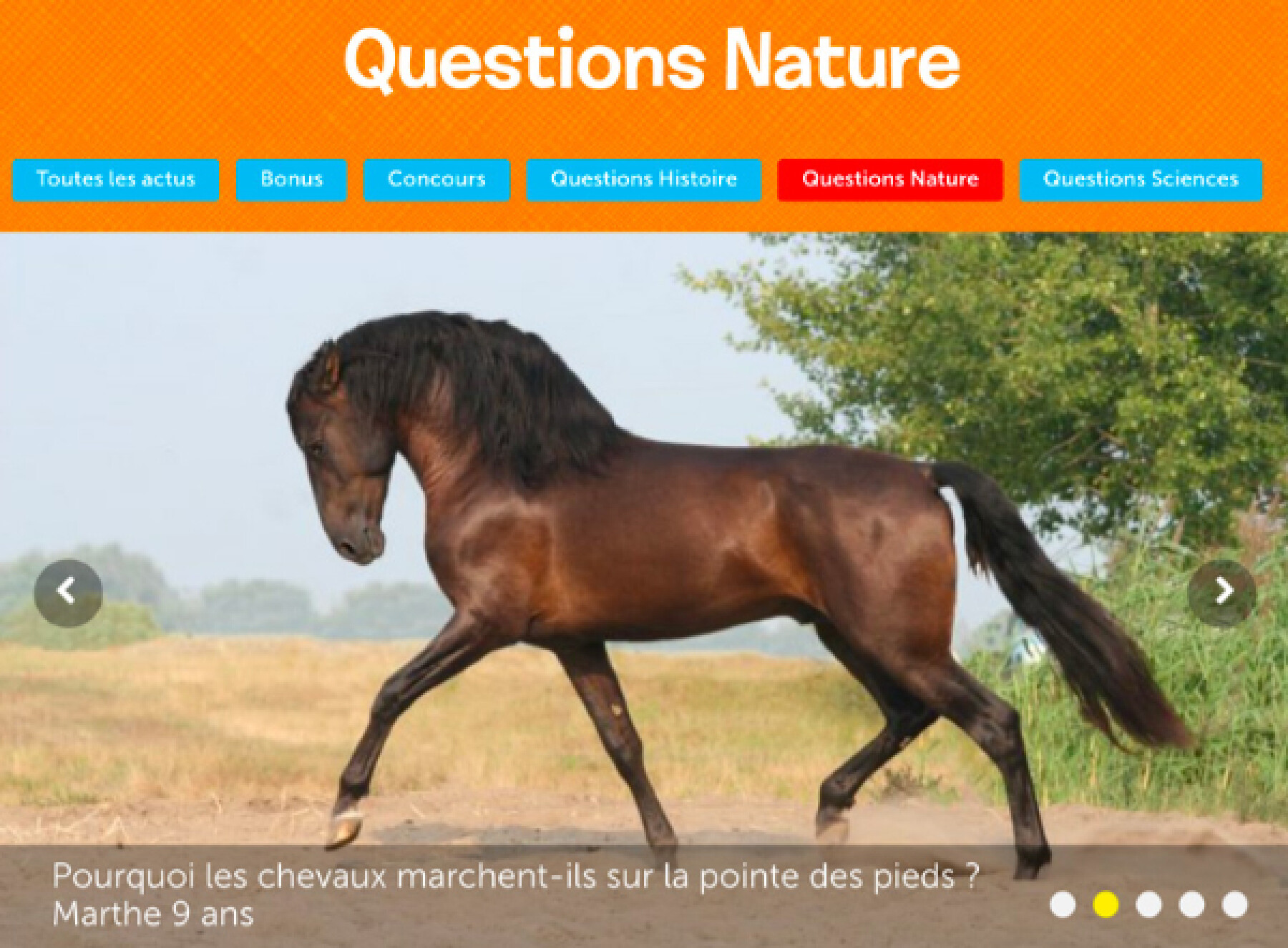 questionnaire nature 